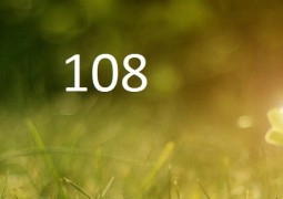 Всё о числе 108