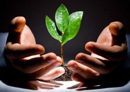 12 законов кармы, которые изменят вашу жизнь