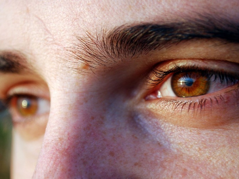 Здоровье наших глаз согласно Аюрведе