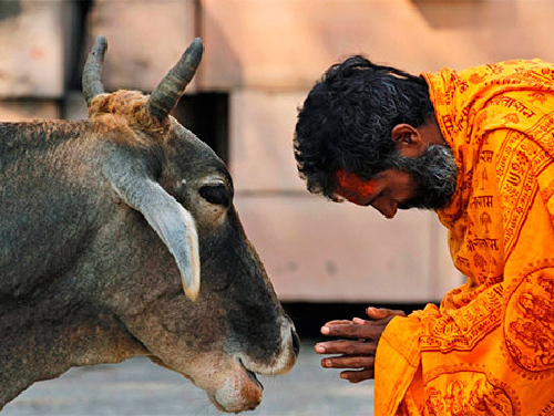 «Сарва-бхута-хита» – стремление делать добро всем существам
