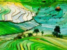 Граха — Чикитса, наука о психике человека