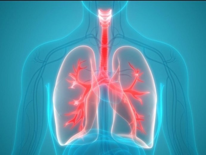 Методика Кофлера: трехфазное дыхание для укрепления иммунитета