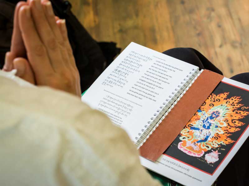Пять «ядов ума» в буддизме
